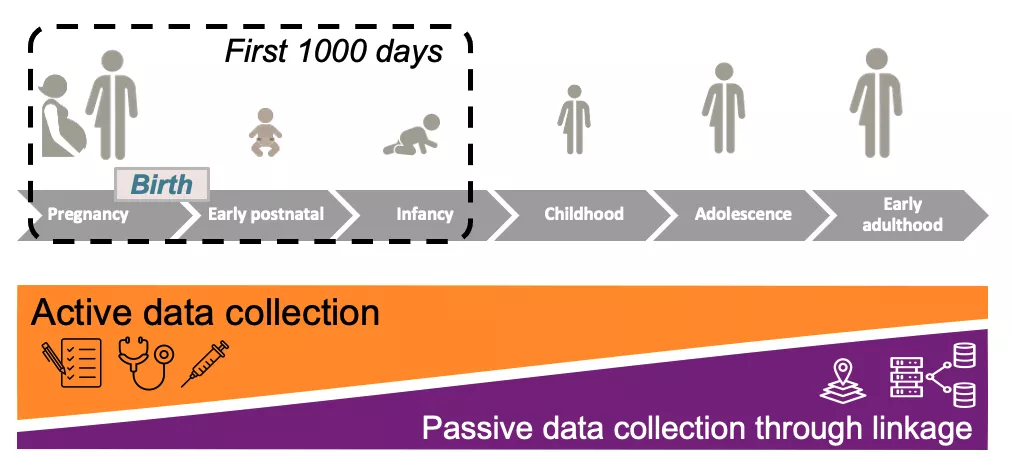 at the first 1000 days most of the strategy consist in active data collection