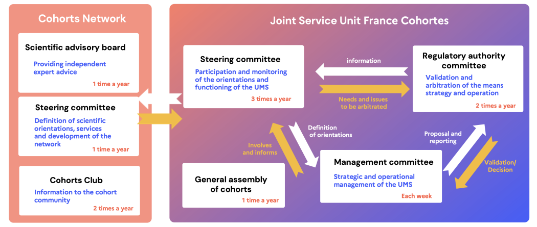 schéma de la gouvernance de France Cohortes