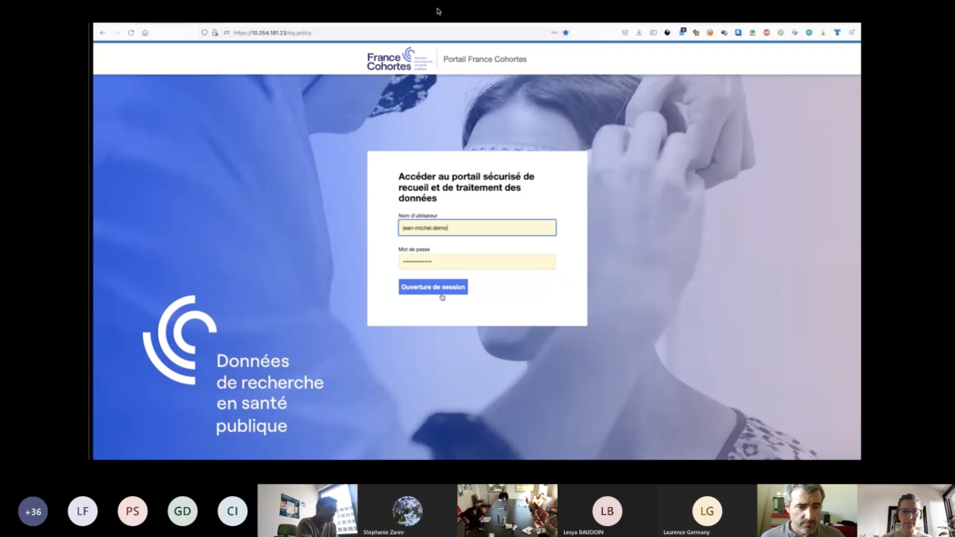 Capture d'écran de la démonstration en ligne